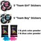 Gender Reveal Burnout Kit | 1 pound bags | Pink and Blue Color Powder with Team Stickers
